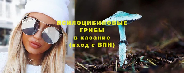 не бодяженный Аркадак