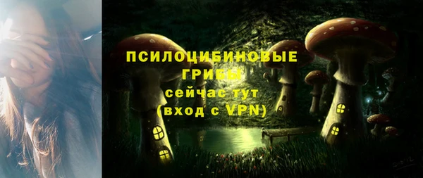 не бодяженный Аркадак