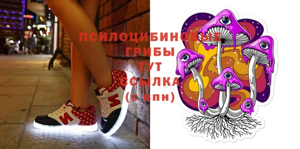 spice Арсеньев