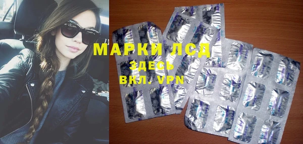spice Арсеньев