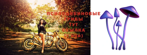 гашик Армянск