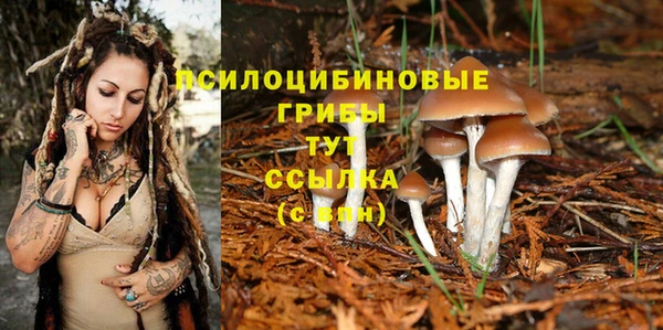 spice Арсеньев
