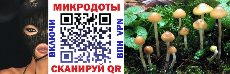 дарнет шоп Руза Галлюциногенные грибы мухоморы